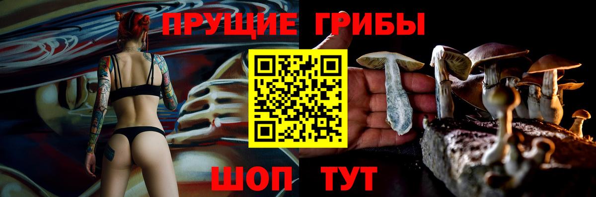 Псилоцибиновые грибы Magic Shrooms  Вход с VPN  Псилоцибиновые грибы Magic Shrooms  Москва 